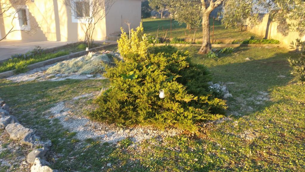 Apartment Nika Šibenik Kültér fotó
